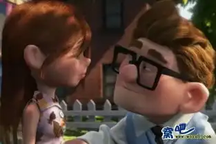 我想要飞屋环游记中卡尔和艾莉的图片