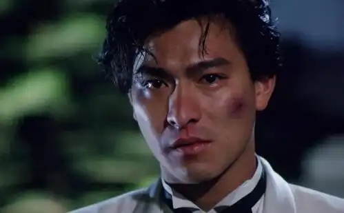 林雪揭露香港演员黑幕,称明面上做慈善的就两人,刘德华和古天乐
