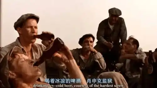 肖申克的救赎如果生活是一座监狱,那就冲破它

