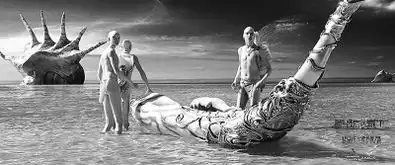 战狼2后四部进口片让观众换了换口味