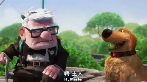 飞屋环游记关于卖气球怪老头用飞屋把胖小孩拐到瀑布这件事