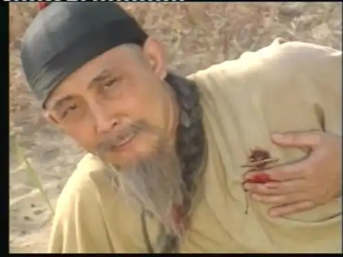 铁打的张召重,流水的红花会书剑恩仇录中张召重的战绩汇总
