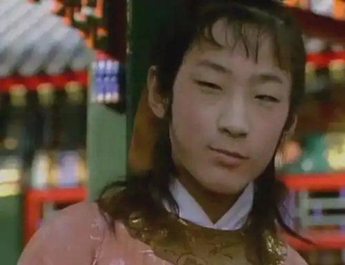 红楼梦贾环到底坏不坏王熙凤的态度给出了答案