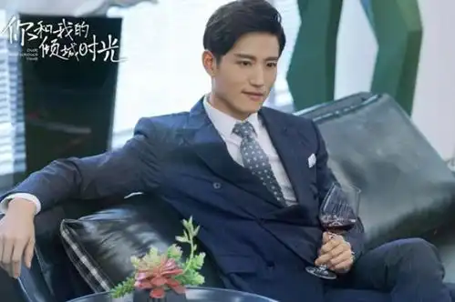 曾是央视的宠儿,后因事业面临低谷,如今靠倾城时光再次翻红