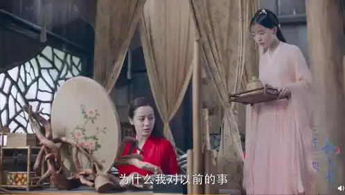 三生三世枕上书凤九彻底变成阿兰若,忘记一切,连东华都认不出