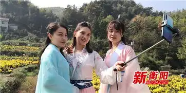 满城尽带黄金甲南岳山下高山凰菊喜笑颜开
