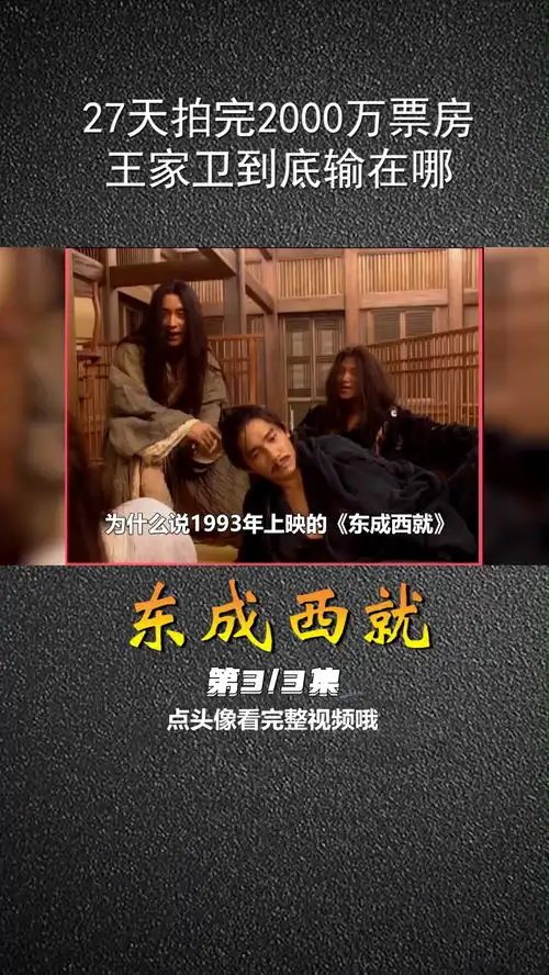 27天拍完2000万票房,王家卫东邪西毒到底输在哪东成西就影视解说梁朝伟张国荣王祖贤
