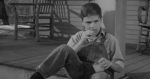 杀死一只知更鸟杰姆半夜不睡觉,听到外面有人敲门,什么情况