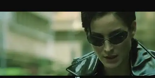 黑客帝国4拍得很好不许再拍了
