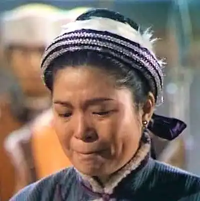 射雕英雄传中,郭靖的未婚妻华筝最后去了何处结局如何
