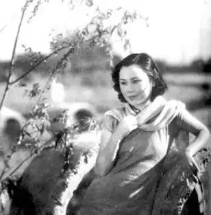 资料新中国电影22大明星白杨