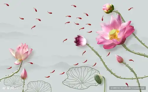 荷花背景设计图
