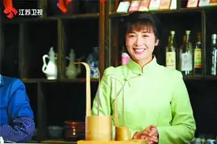 刘家成新作正阳门下小女人将播