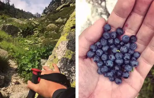 纹身师大敏,荒野生存15天徒步穿越勃朗峰
