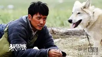 狼图腾将错就错获赞一个文艺一个通俗