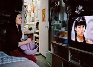 摄影师花13年拍摄记录在美华人蜗居生活写真
