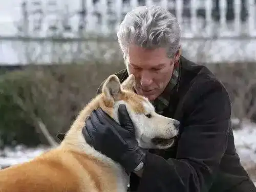 荆州街头的不文明养狗行为,你最讨厌哪一点快来diss