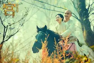 宫锁沉香热映周冬雨vs赵丽颖私服斗