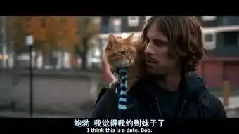 喵星人拯救愚蠢的人类,看了流浪猫鲍勃你会怀疑自己养了假猫