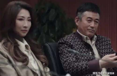 扫黑风暴高明远培养麦佳是为了什么高明远的保护伞是王政吗