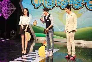 夏洛特烦恼做客综艺节目王智对战沈腾8017490