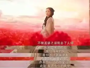 我简直爱死了这部剧的每句台词
