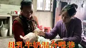 森贝儿家族粉红小汽车玩具和面包超人自动贩卖机