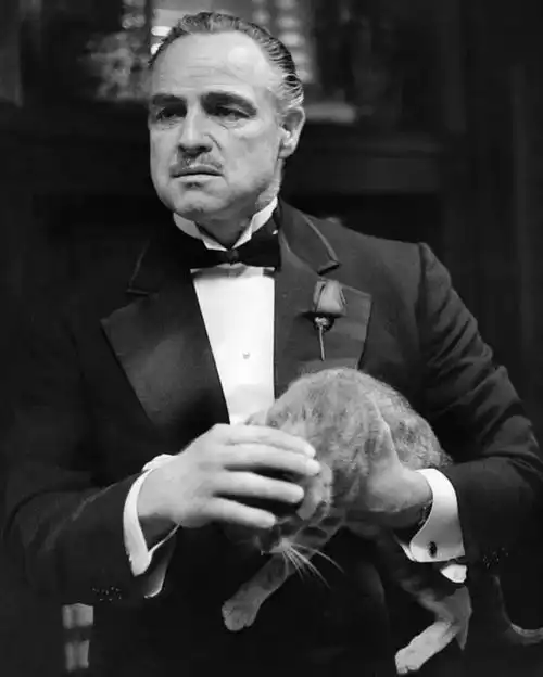 年度爽片,操作猛如虎,低调才是最装逼的炫耀
