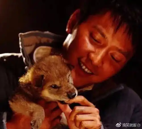 冯绍峰换头像新头像温馨暖人,曾配文关爱身边的每一个生命