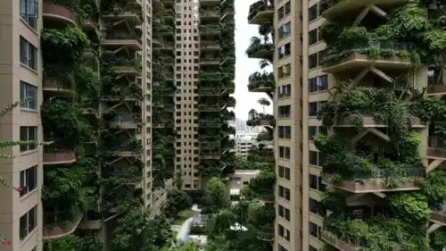 第四代住房骗局网红小区一夜售空,交房后只有10户入住,竟变蚊子天堂