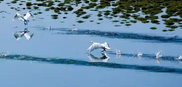 他们的飞驰人生,在巴音布鲁克草原上延伸