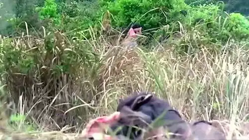 喋血街头阿荣竟开枪打自己兄弟电影剪辑任达华梁朝伟
