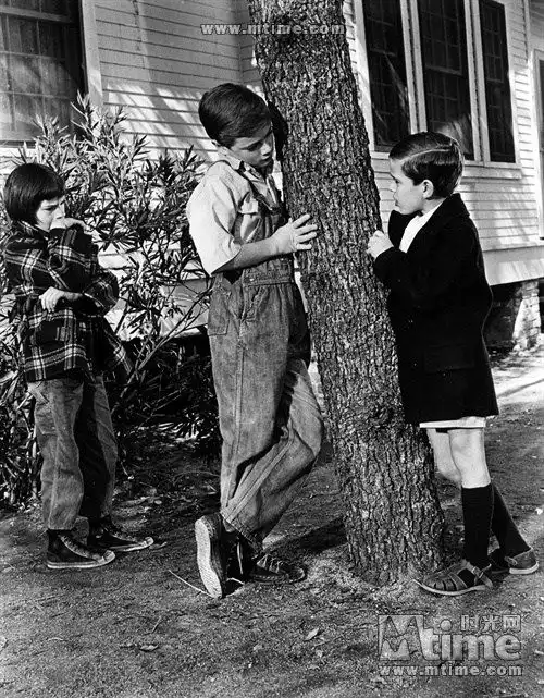 杀死一只知更鸟官方剧照
