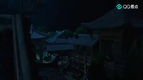 这场面也太壮观了吧,飞檐走壁,还有暗器