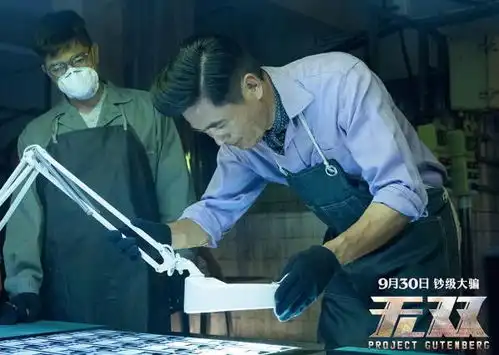 无双虽然套路但仍是稳重有惊喜的港片佳作
