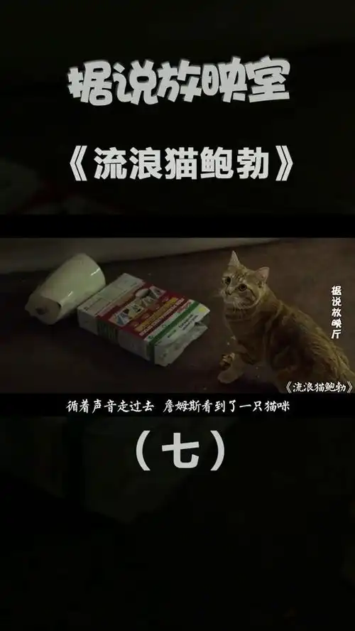 流浪猫鲍勃一个流浪汉遇见一只流浪猫,两个被世界遗弃的生命从此便有了意义