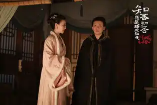 知否知否应是绿肥红瘦剧照
