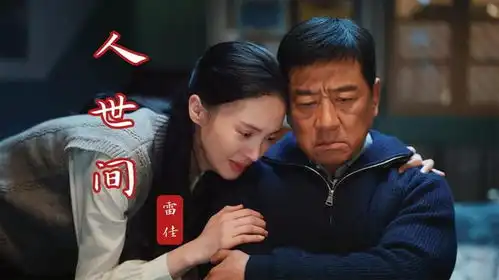 雷佳人世间在南来北往中看两部年代情感大戏梦幻联动混剪mv
