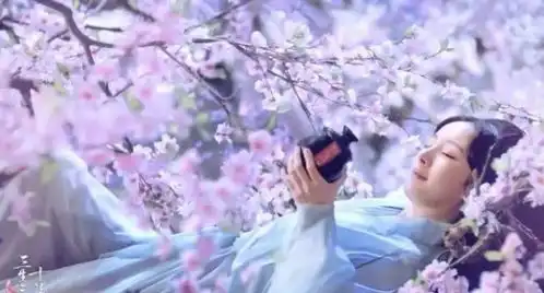 世外桃源三生三世十里桃花拍摄地曝光,美景如仙境
