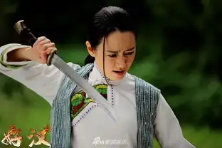 组图好汉众星上演民间好汉热血抗日救国
