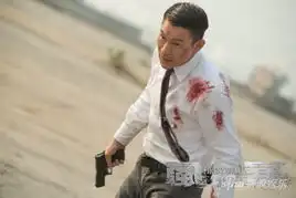 刘德华剧照肉搏