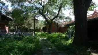 故宫慈宁宫寿康宫将开放开放面积将达到76
