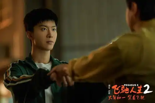 首日票房仅4200万,红毯先生回本无望,导演宁浩才是最大败笔
