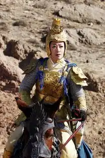 杨门女将曝最新剧照陈紫函骑战马披黄金甲