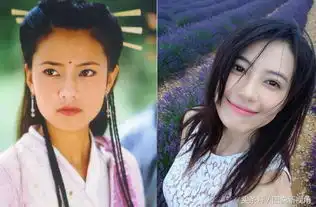 图揭经典版倚天屠龙记女主角们的容貌变化,很多都惊艳大众
