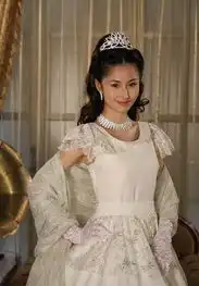 蓝燕钻石豪门剧照
