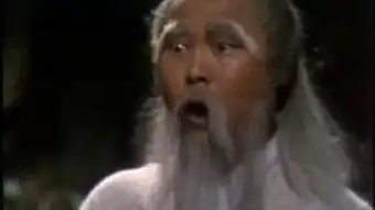 射雕英雄传83东邪西毒
