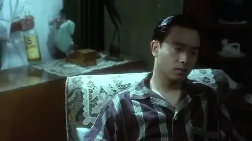 从阿飞正传到一代宗师王家卫电影中的身份与国族