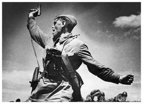 二战时各国兵力最多是多少
