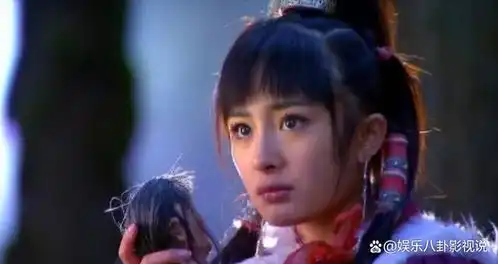 函数是哪个明星有哪些代表作
